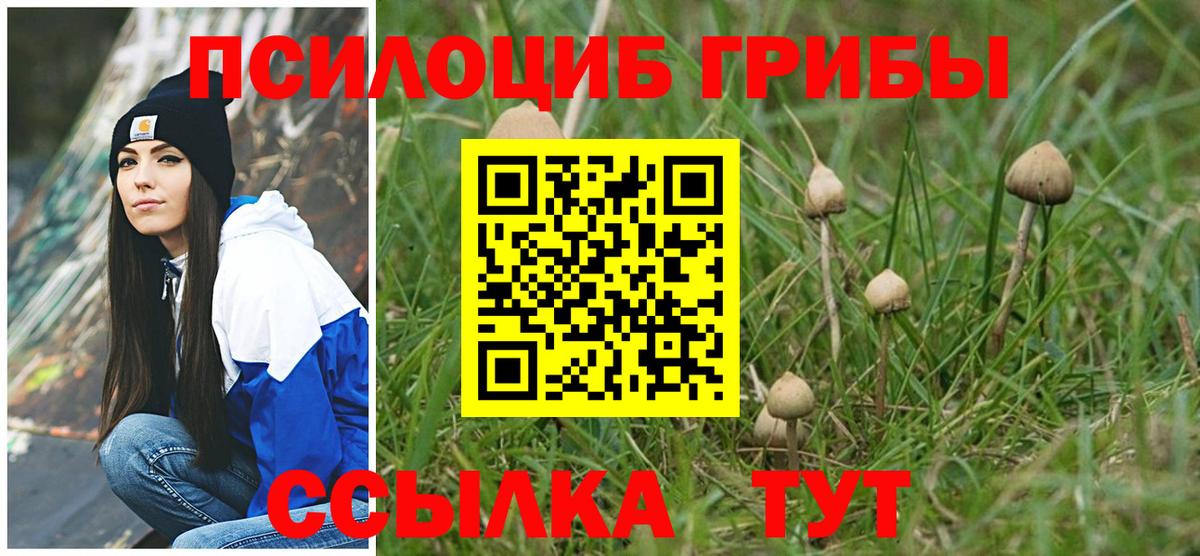 цена наркотик  Вход с VPN  Рославль  Галлюциногенные грибы мицелий 